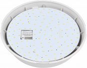 Vägg/-takarmatur Neso LED, Med nödljus, IP54