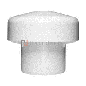 Purus 50mm Vacuumventil