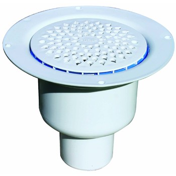 7113929_PURUS GOLVBRUNN BRAGE